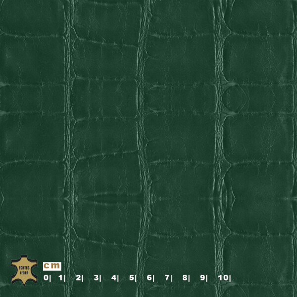 fir green