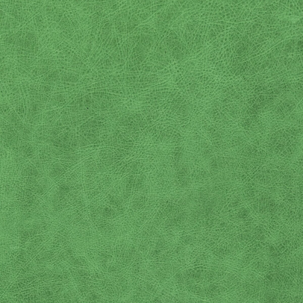 signal green