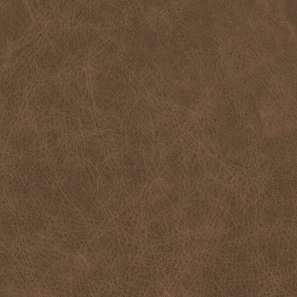 umbra brown