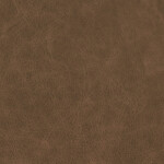 umbra brown