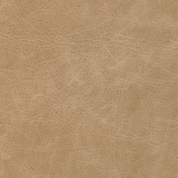pale beige