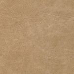 pale beige