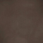 earth brown