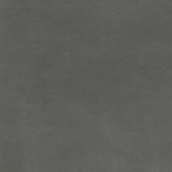tin gray