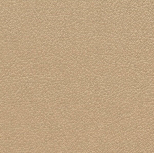 cashmere beige