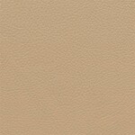 cashmere beige