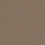 bestbrown
