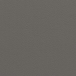 silicium