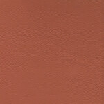 dunkel orange