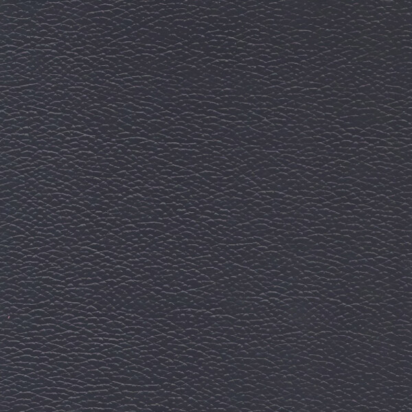 blauschwarz