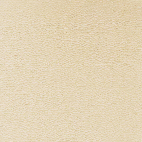 champagner